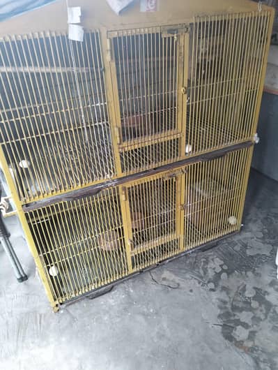 good quality one season used cage for sale