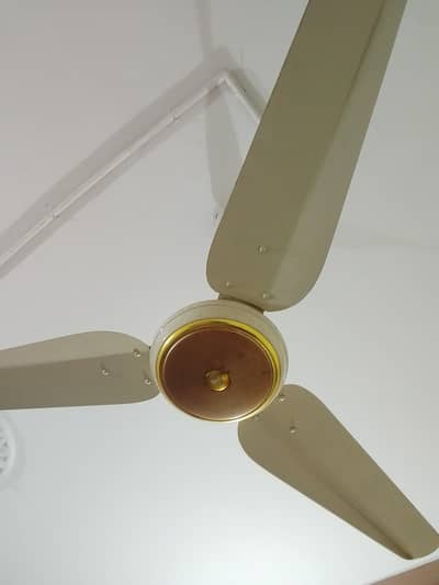 ceiling fan