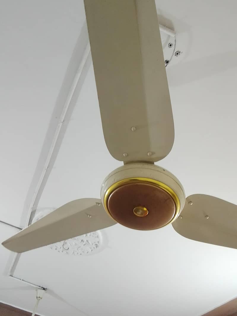 ceiling fan 1