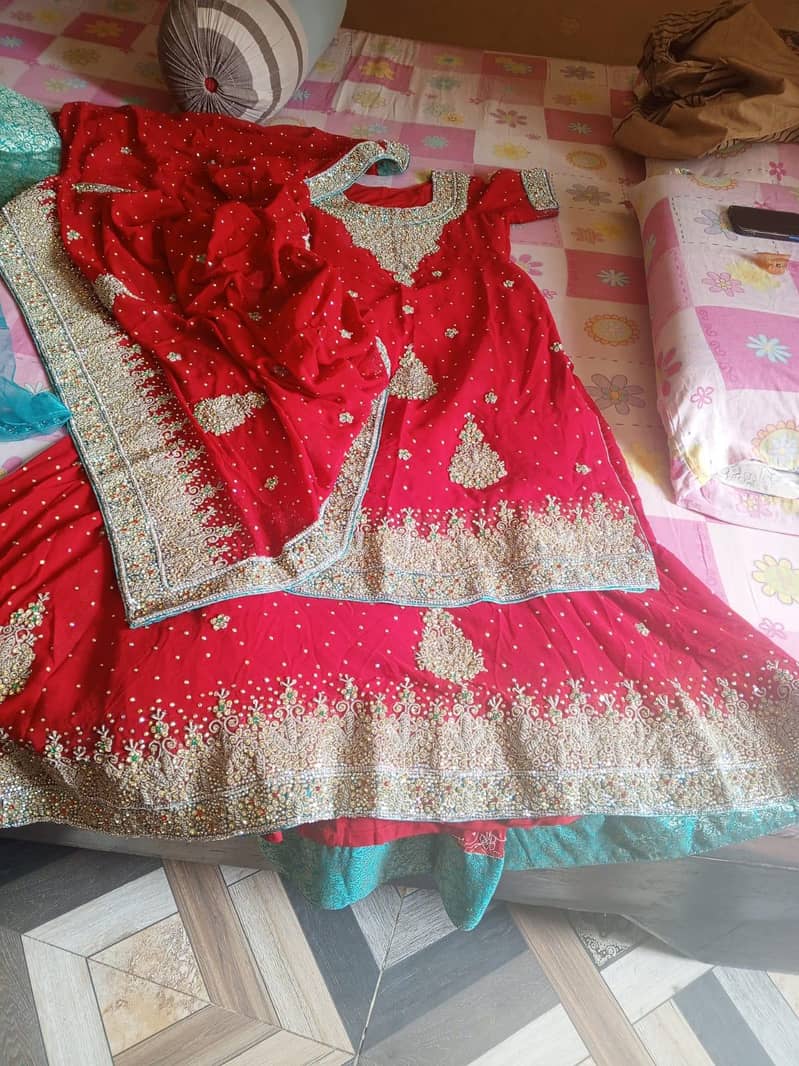 bridel drees 1