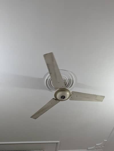 Ceiling Fans in working condition
