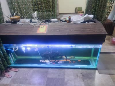 fish aquarium for sale