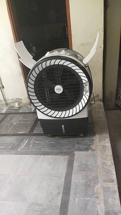 fresh condition