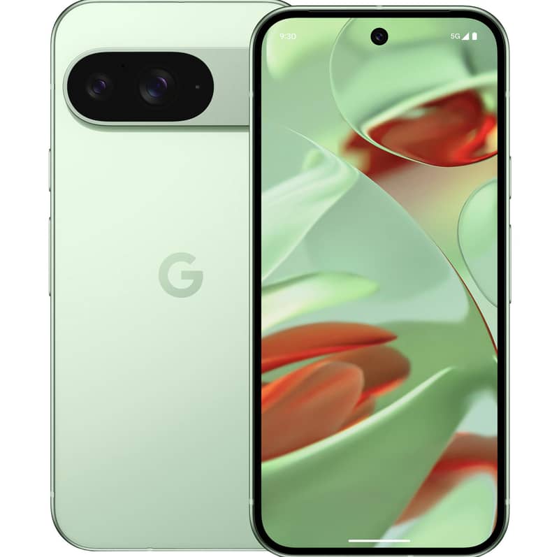 Google Pixel 9 pta 1