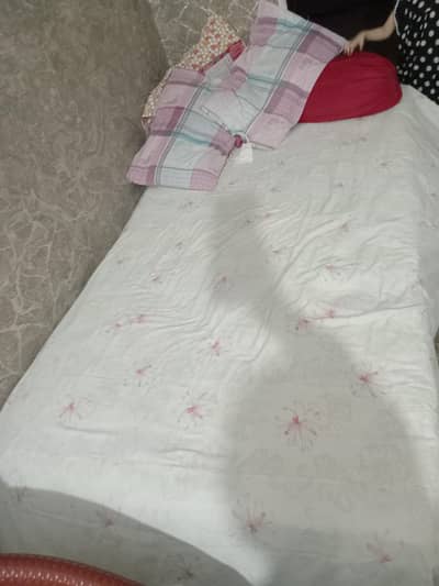 Molly Home single bed