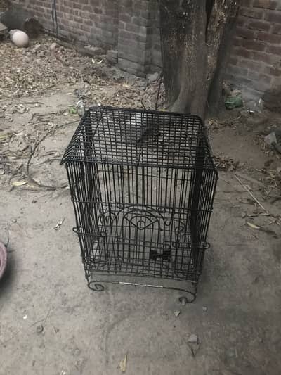 Cage gor hens and parrot