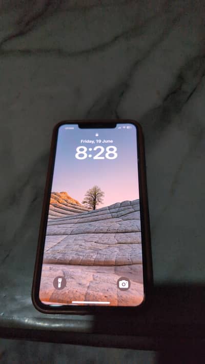Apple iPhone XS Max 256 Gb