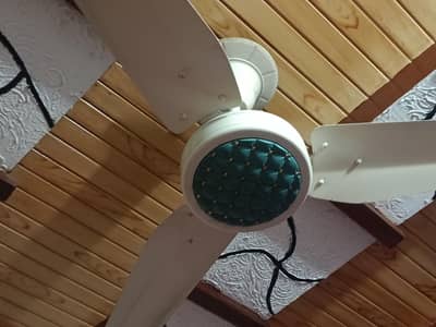 Ceiling Fan for sale