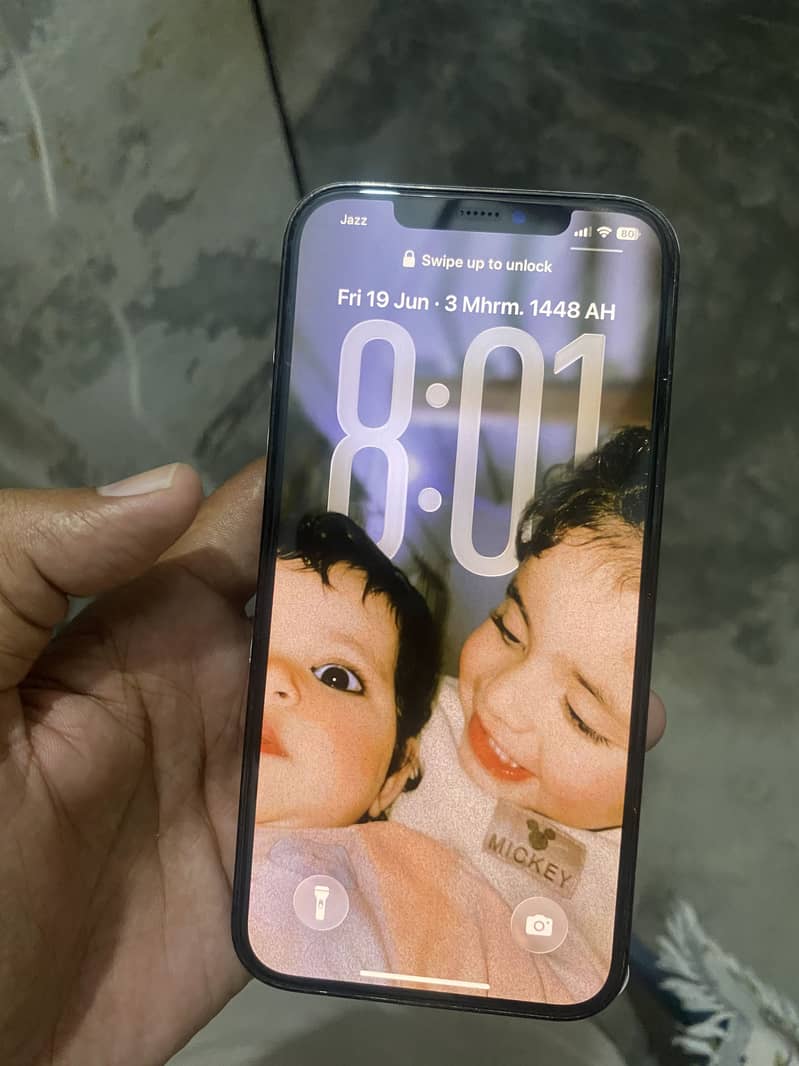 Apple iPhone 12 Pro Max 1