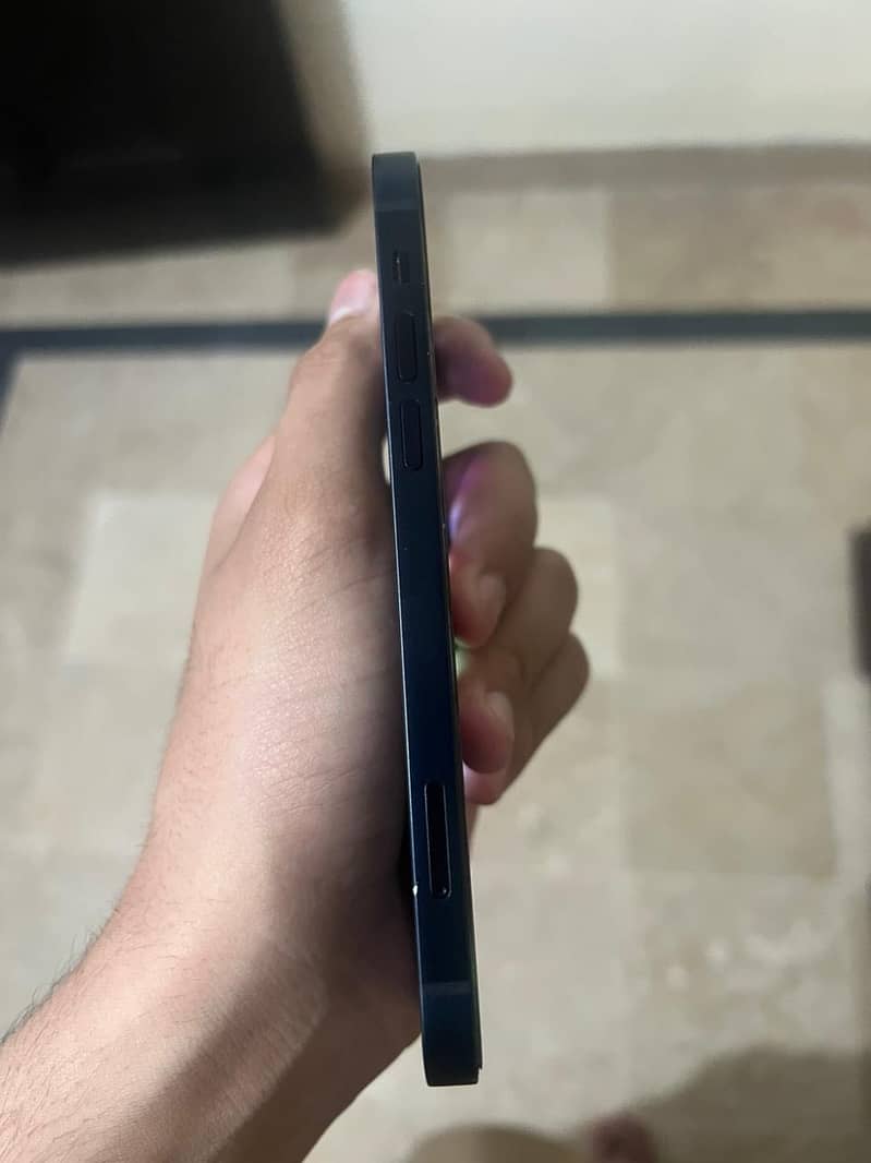Apple iPhone 12 1