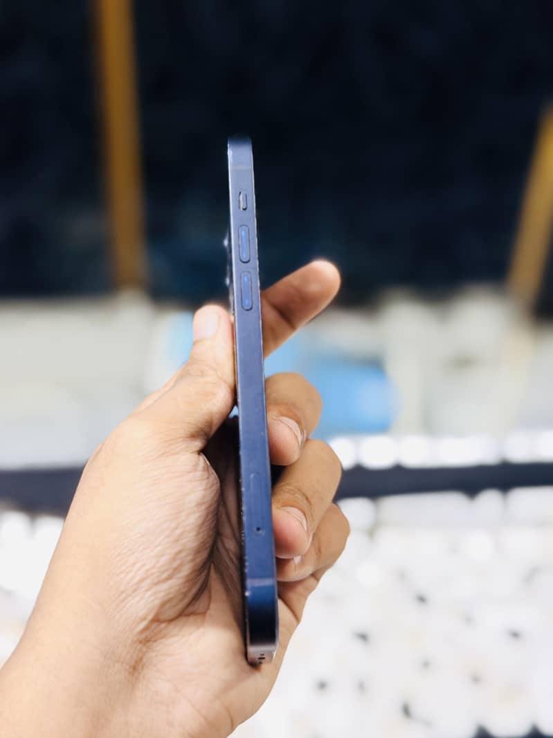 Apple iPhone 12 1