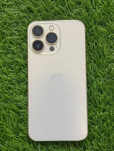 Apple iPhone 13 Pro
