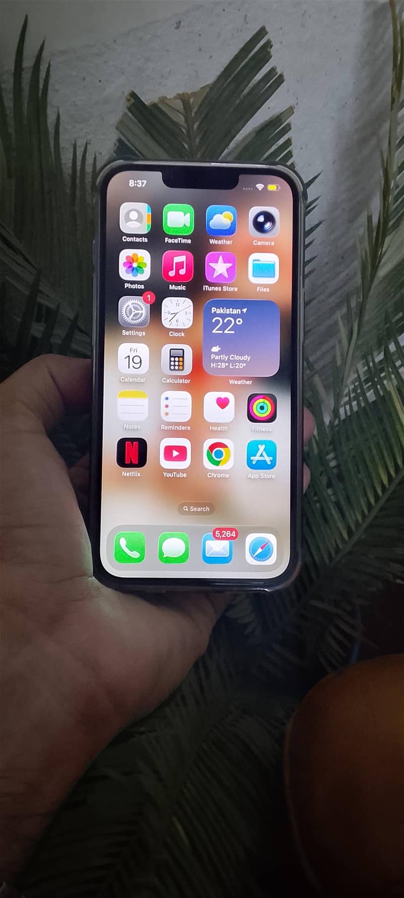 Apple iPhone 14 1