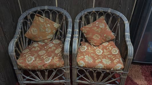 Cane chairs