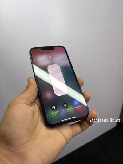 Apple iPhone 13