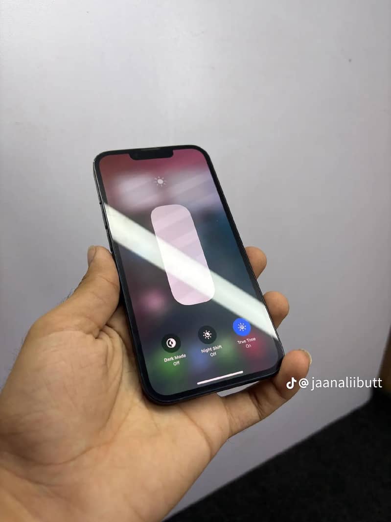 Apple iPhone 13 0