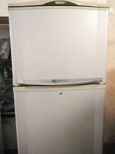 waves fridge