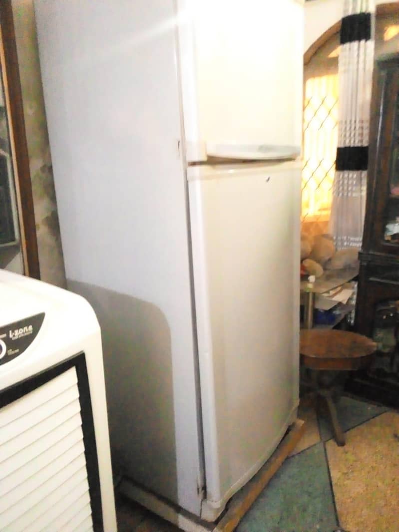 waves fridge 2