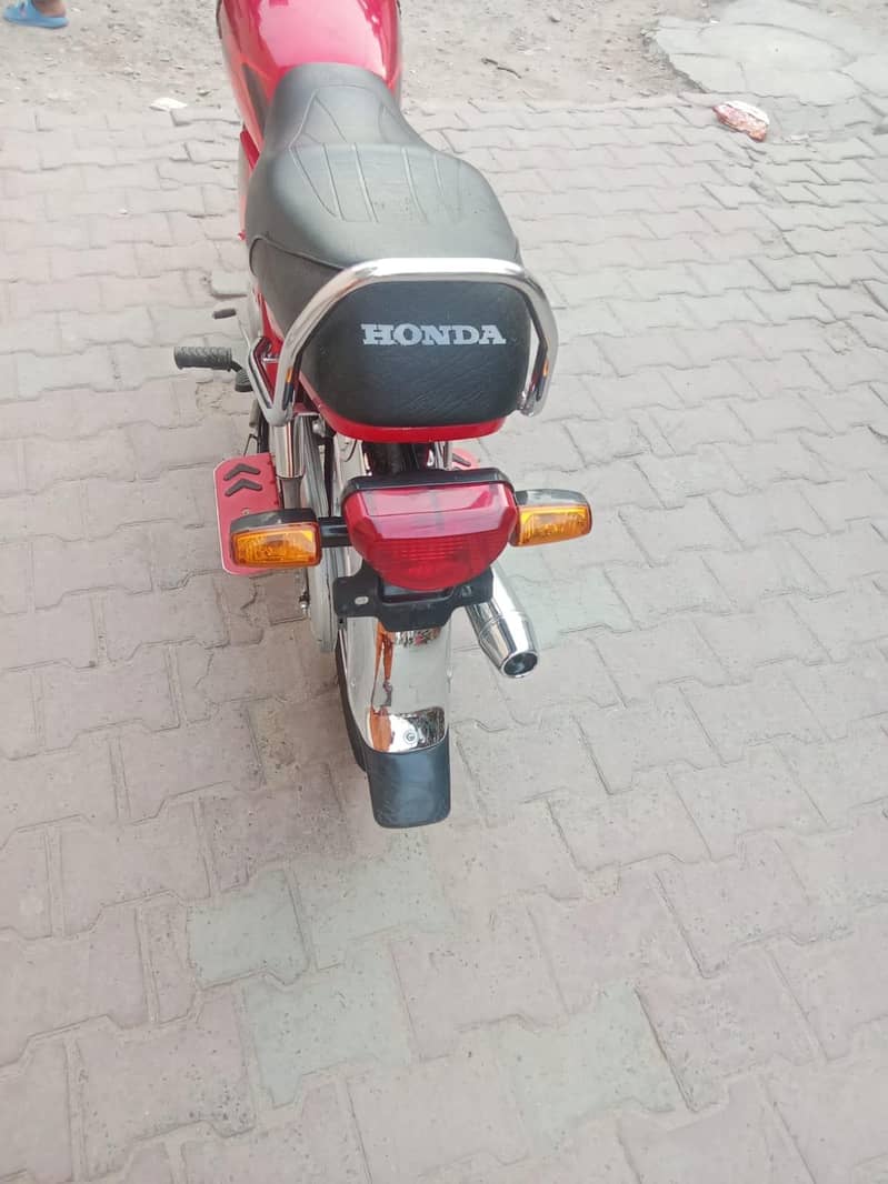 Rajpoot 6