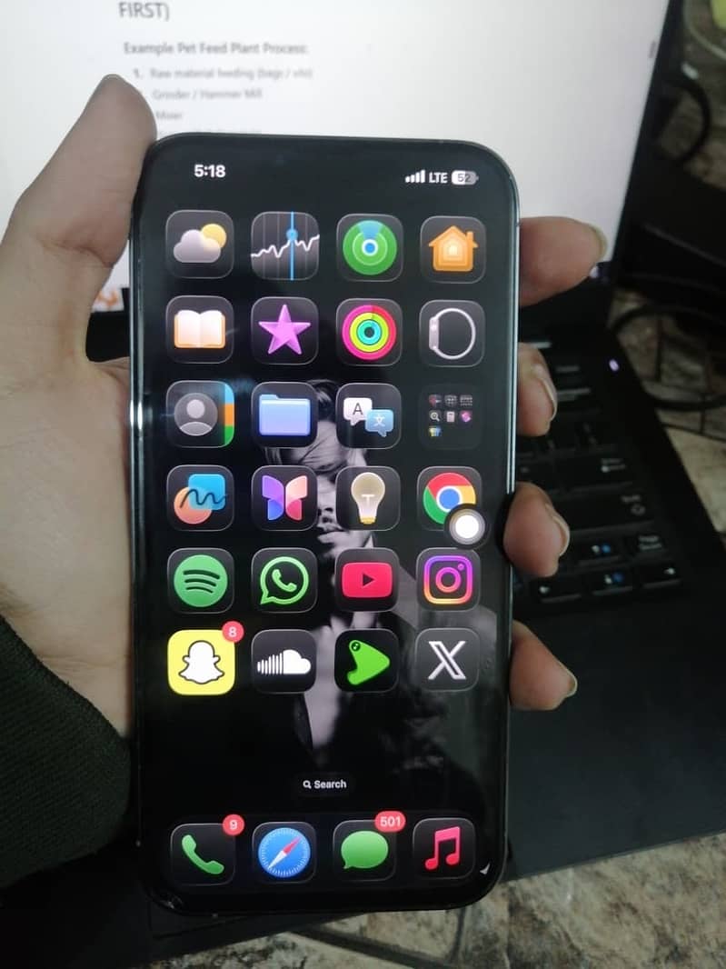 Apple iPhone 13 Pro Max 1
