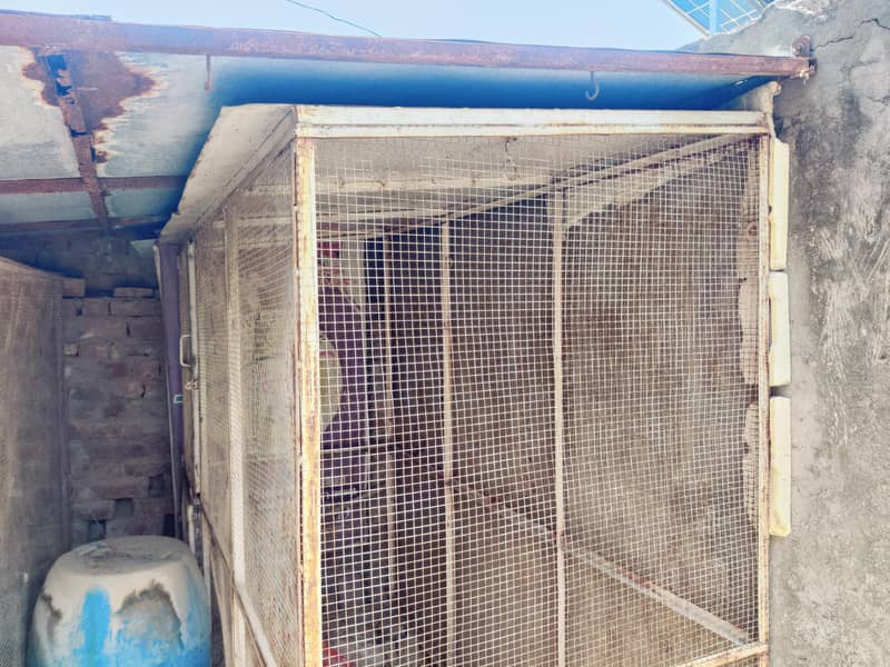solid cage make with angle 0