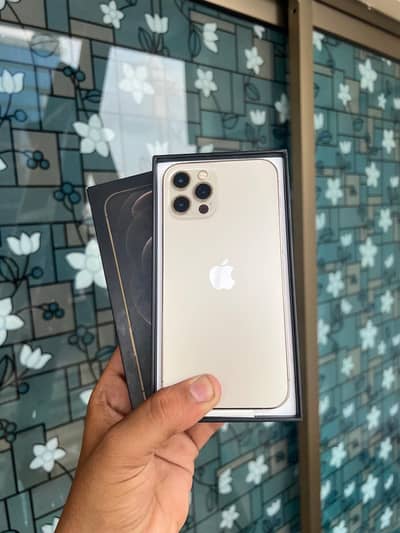 iPhone 12 Pro Dual Physical Pta Approved