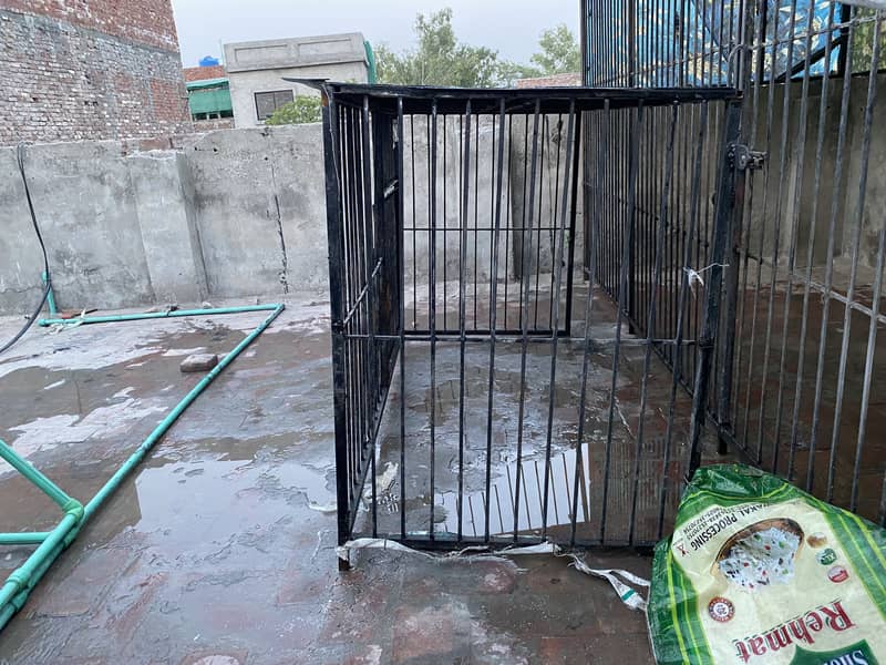Small cage 3