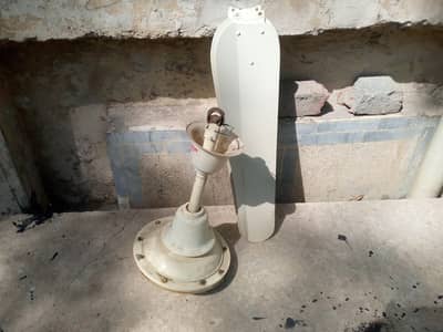 Fan for sale
