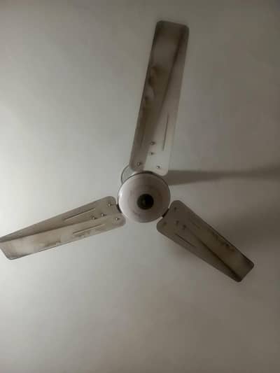 Ceiling Fan