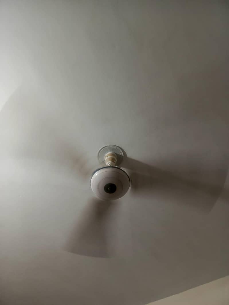 Ceiling Fan 1