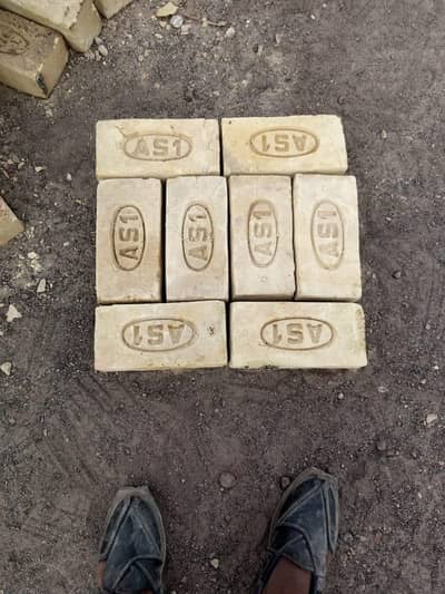AS1 Bricks