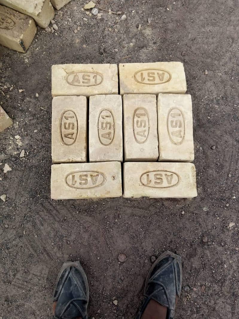 AS1 Bricks 0