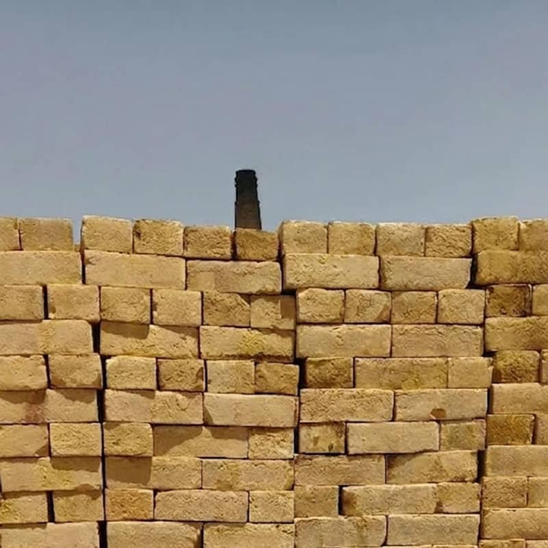 AS1 Bricks 1