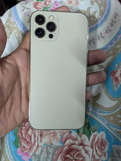 Apple iPhone 12 Pro