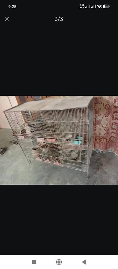 Iron birds Cage