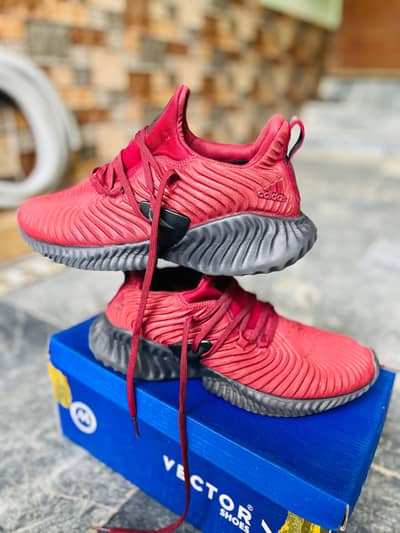 Adidas shoes