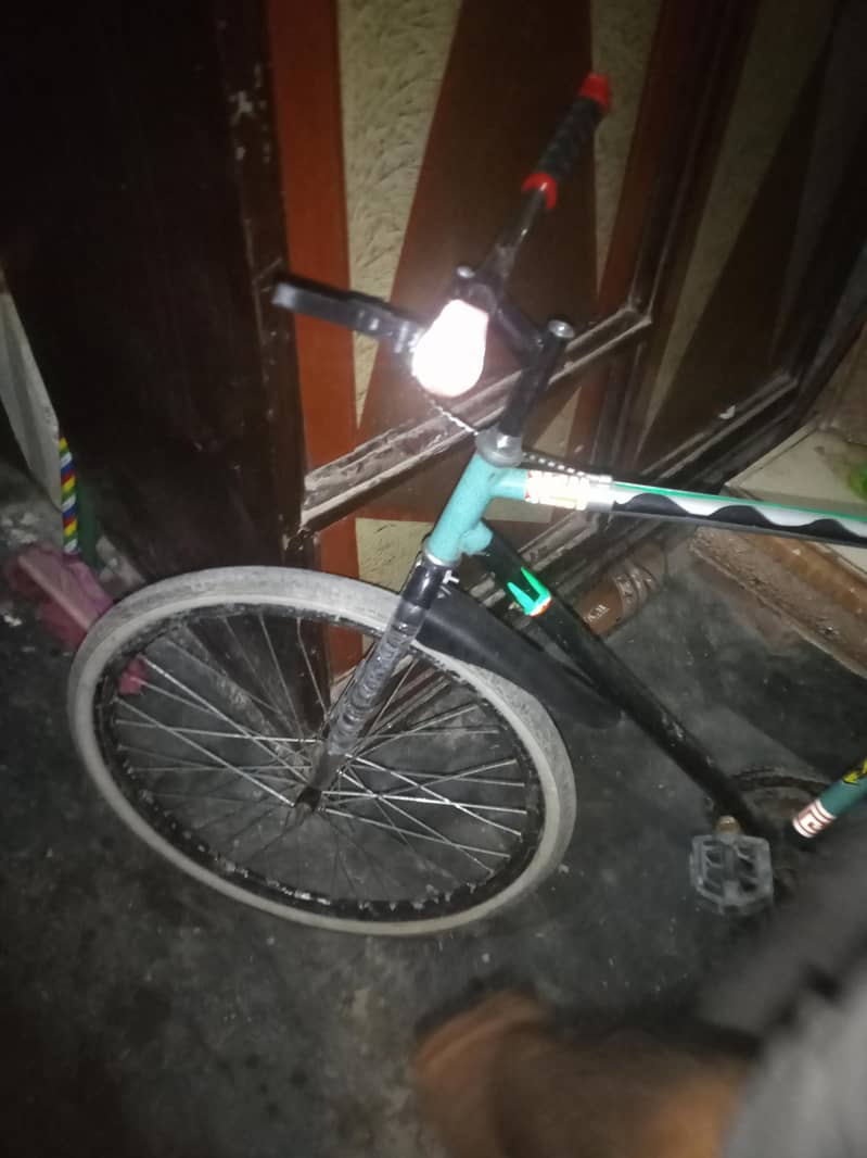 Phoenix cycle 2