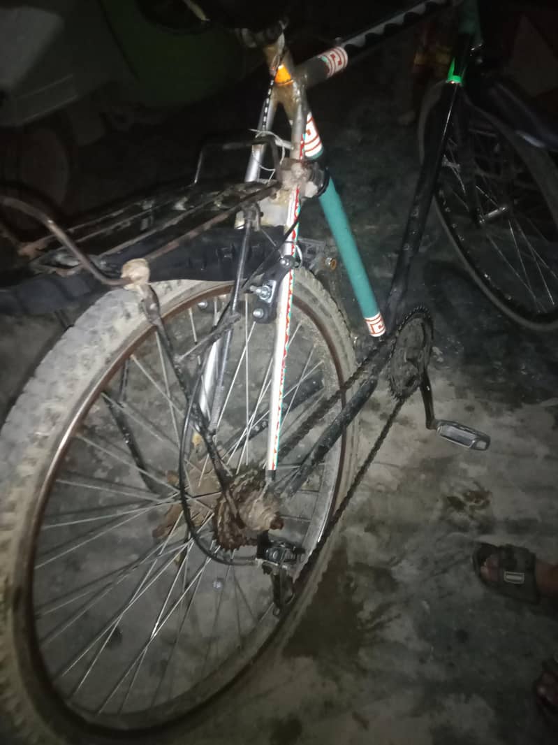 Phoenix cycle 3