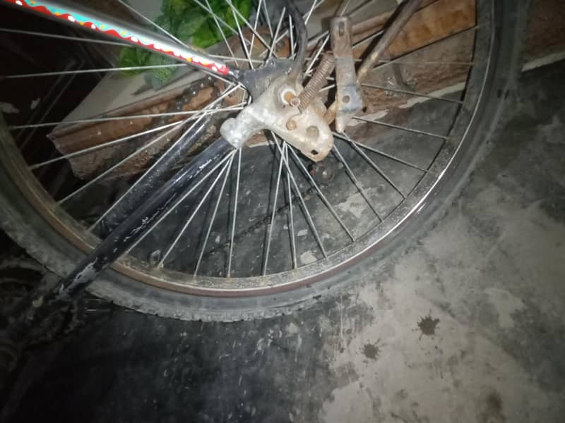 Phoenix cycle 4