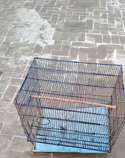 parrot cage