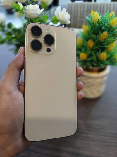 Apple iPhone 14 Pro Max