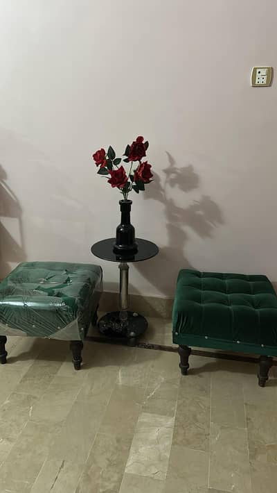 sethi sofa 2 seater