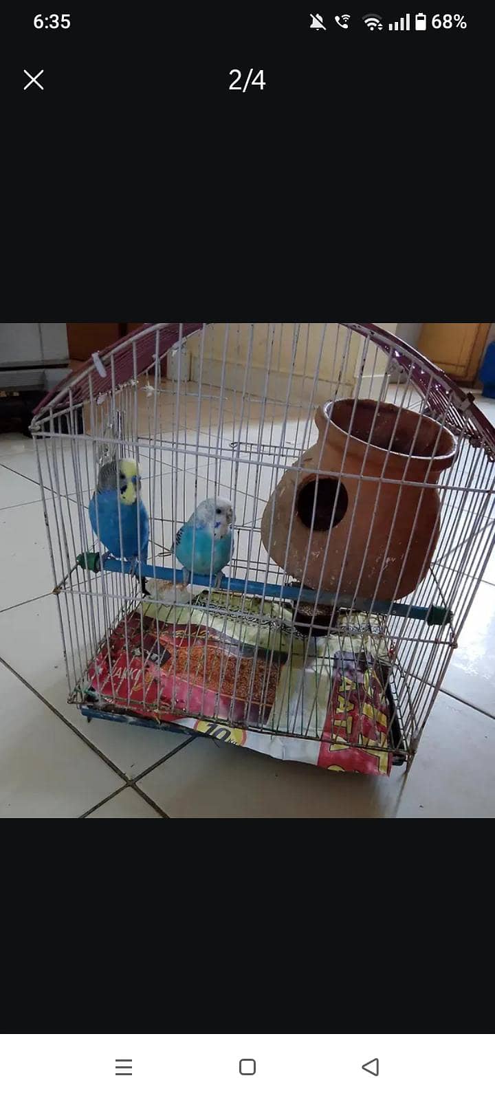 birds 2