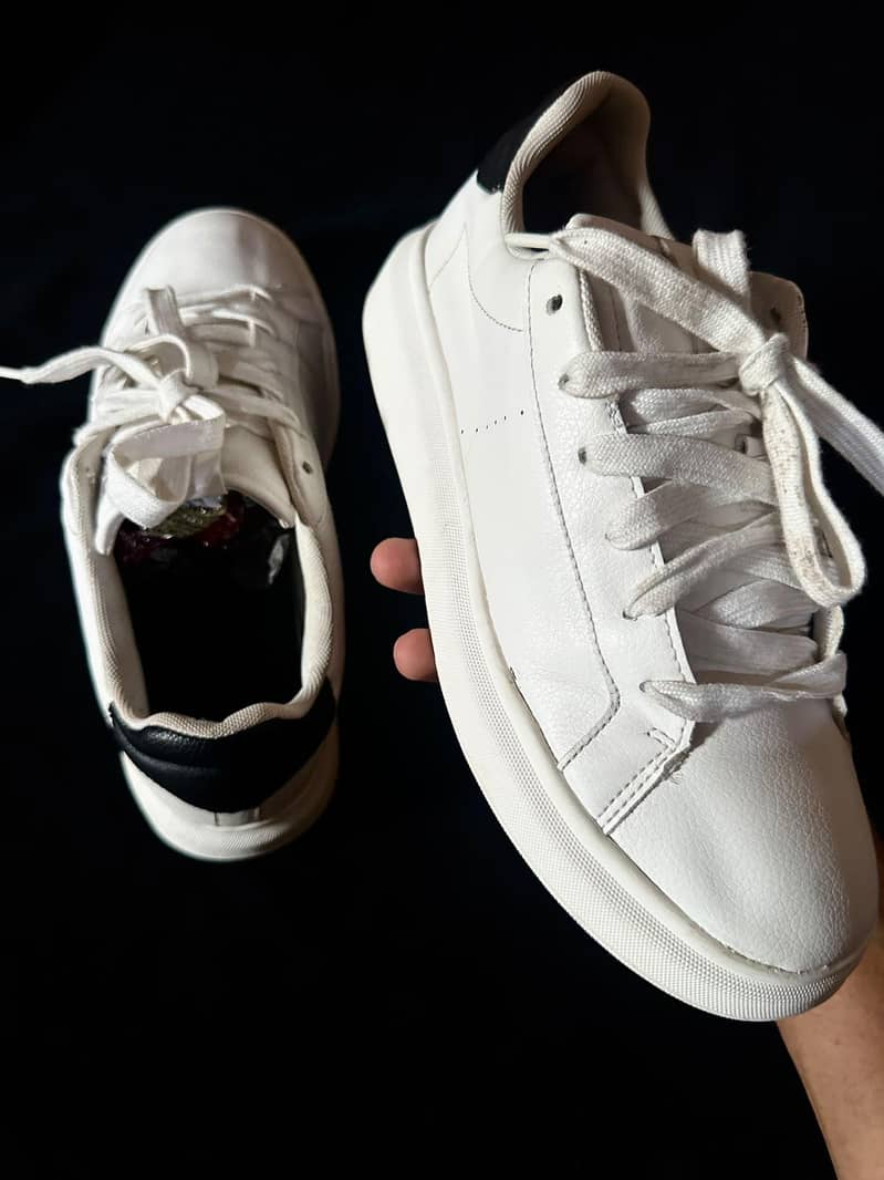 SHEOS 2