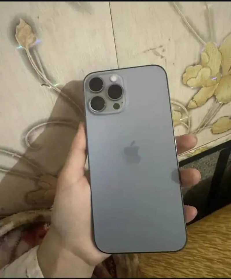 Apple iPhone 13 Pro Max 0