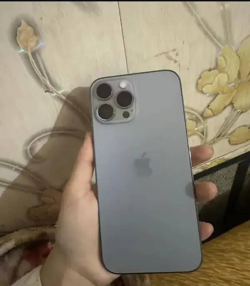 Apple iPhone 13 Pro Max 1