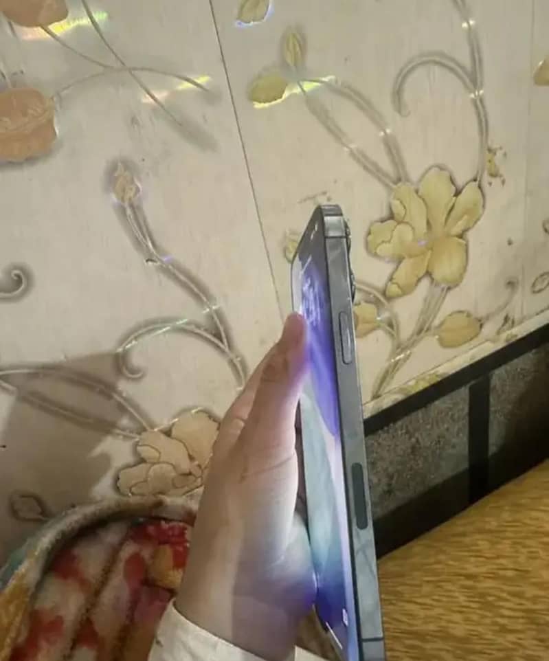 Apple iPhone 13 Pro Max 2