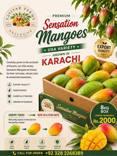 Sensation Mangoes (American Variety)