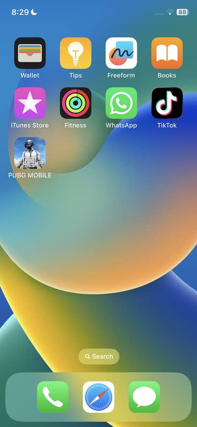 Apple iPhone X