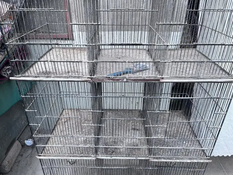 cage for sale 12 portion — photo 3